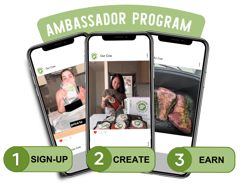 Join the Ambassador Program