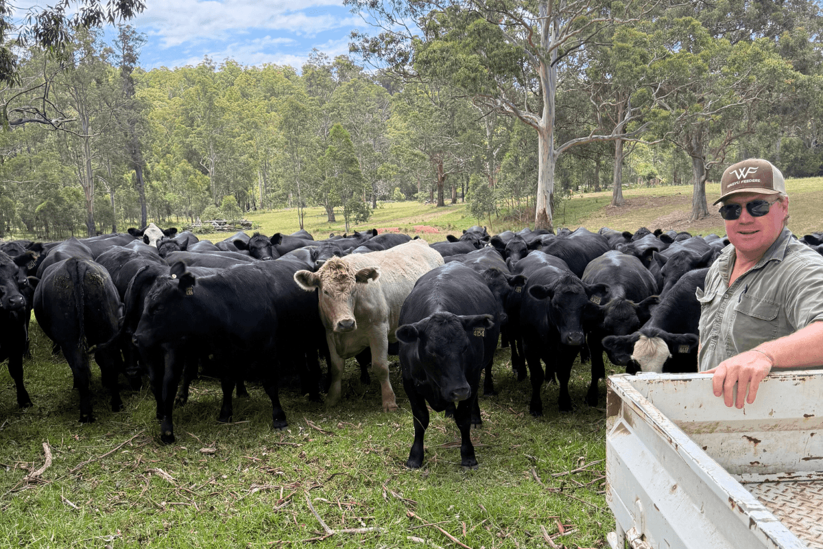 Our Farmers: Meet Harley Gibson from Hernani, NSW