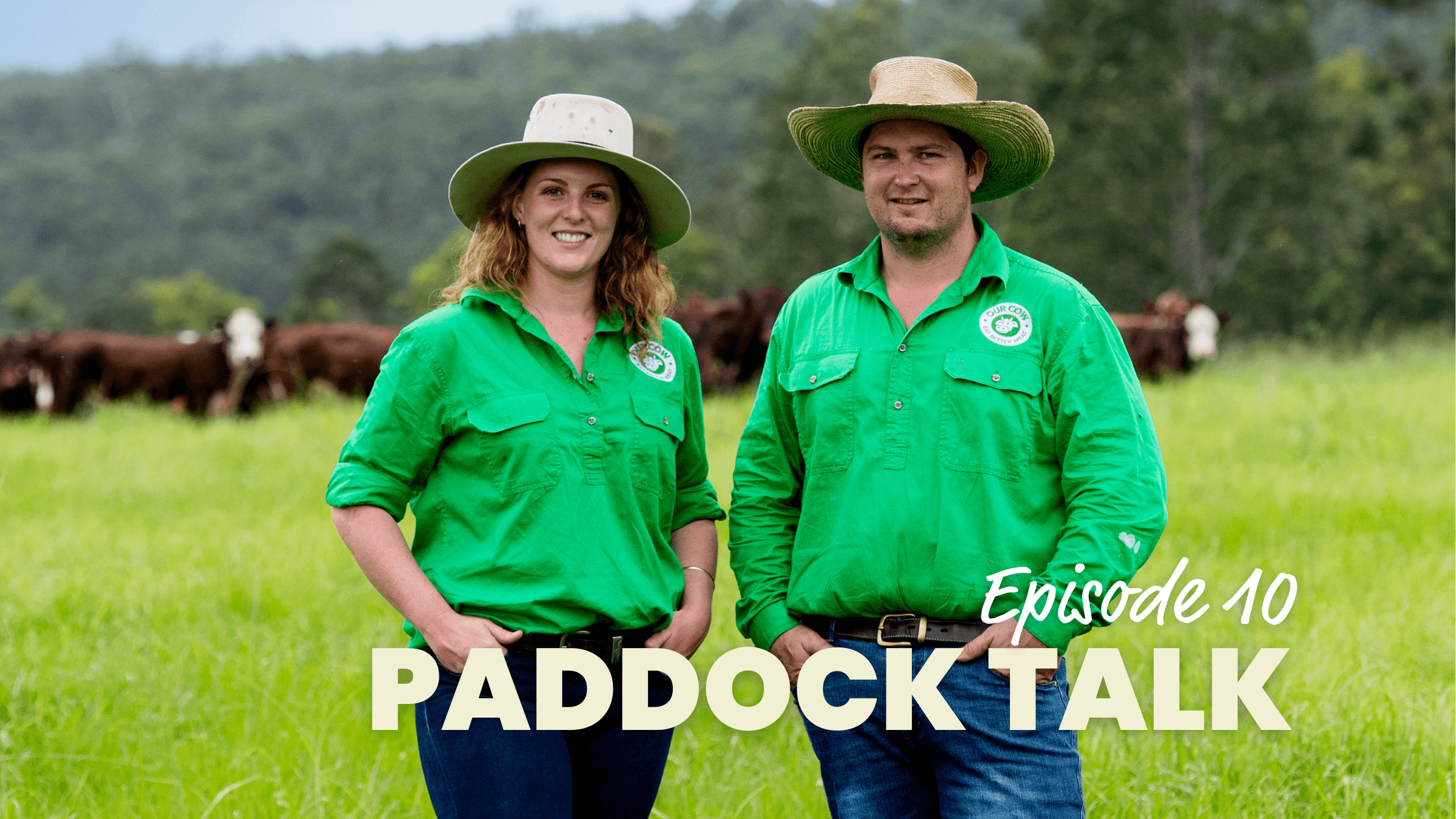 Paddock Talk: Episode 10 - Our Carnivore Journey