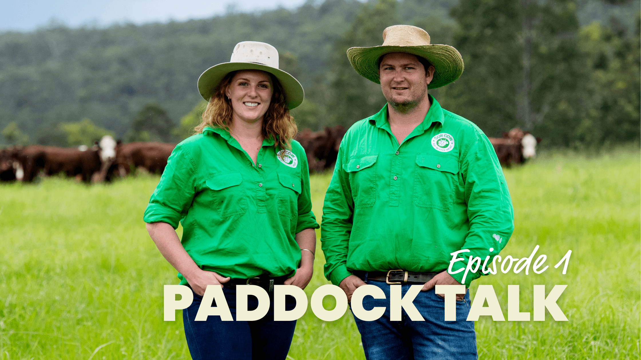 Paddock Talk: Episode 1 - The Our Cow Story
