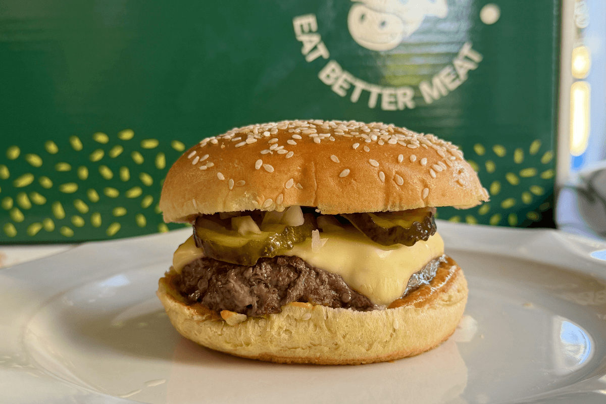 Homemade McDonald's Cheeseburger